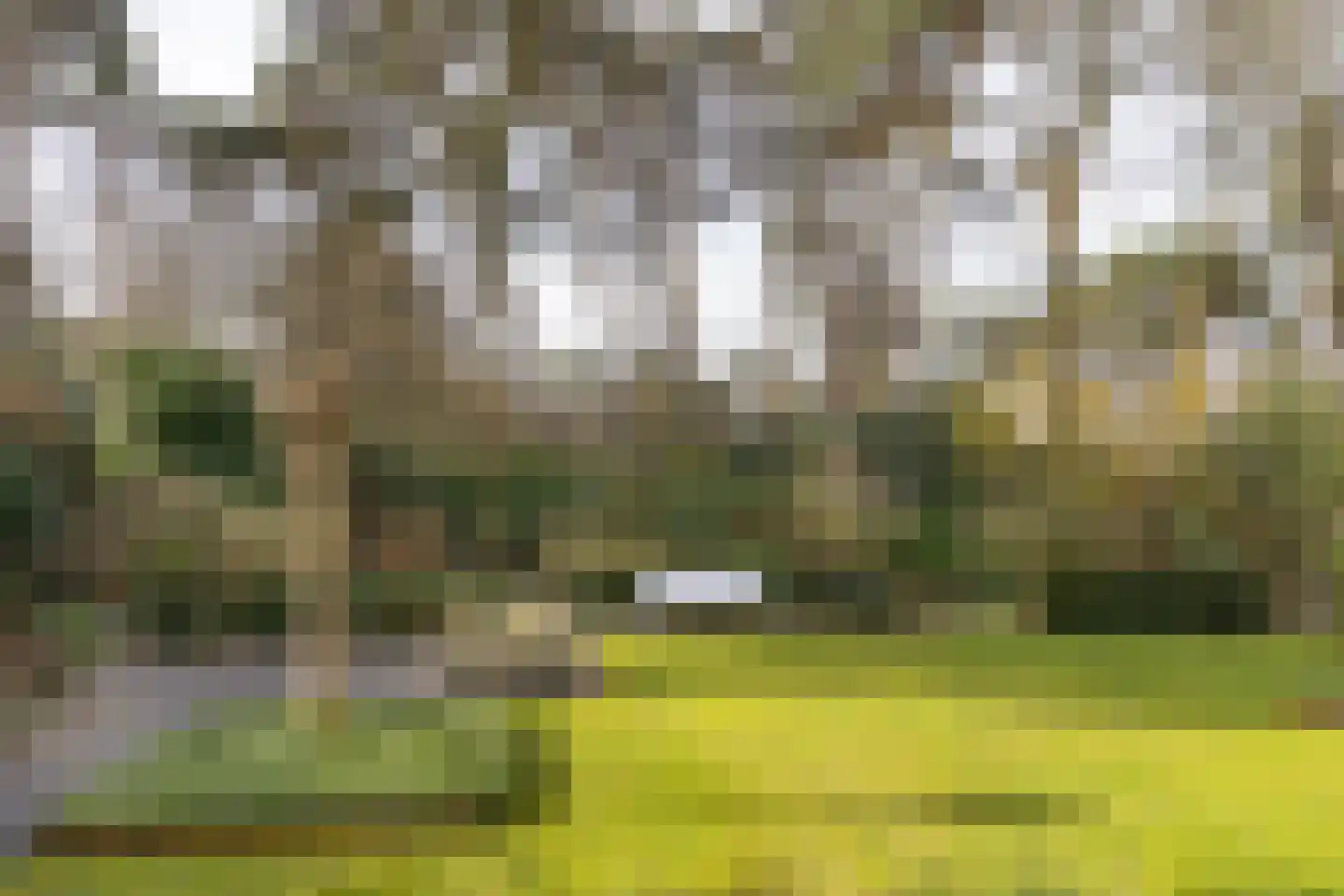 Lassuslaan 52 C Bilthoven thumbnail 57
