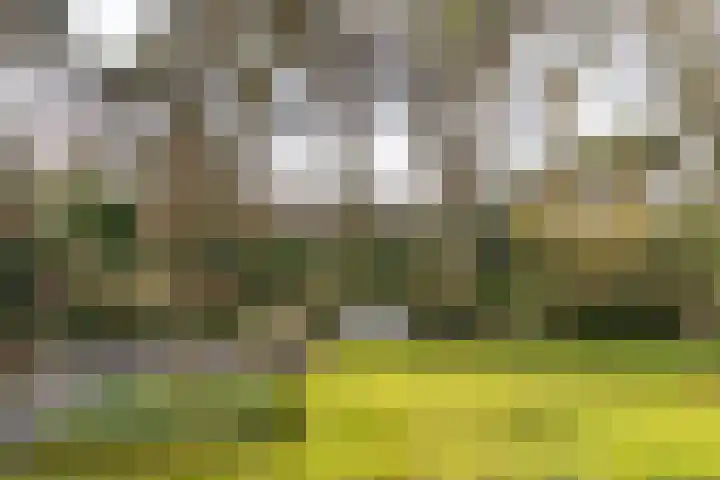 Lassuslaan 52 C Bilthoven thumbnail 57