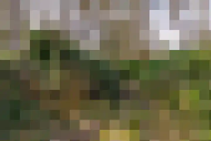 Lassuslaan 52 C Bilthoven thumbnail 58