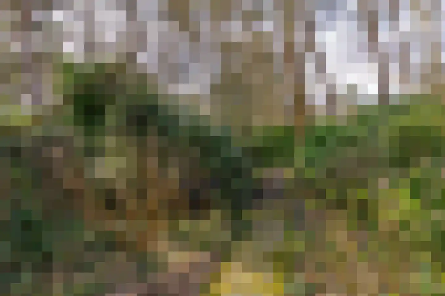 Lassuslaan 52 C Bilthoven thumbnail 58