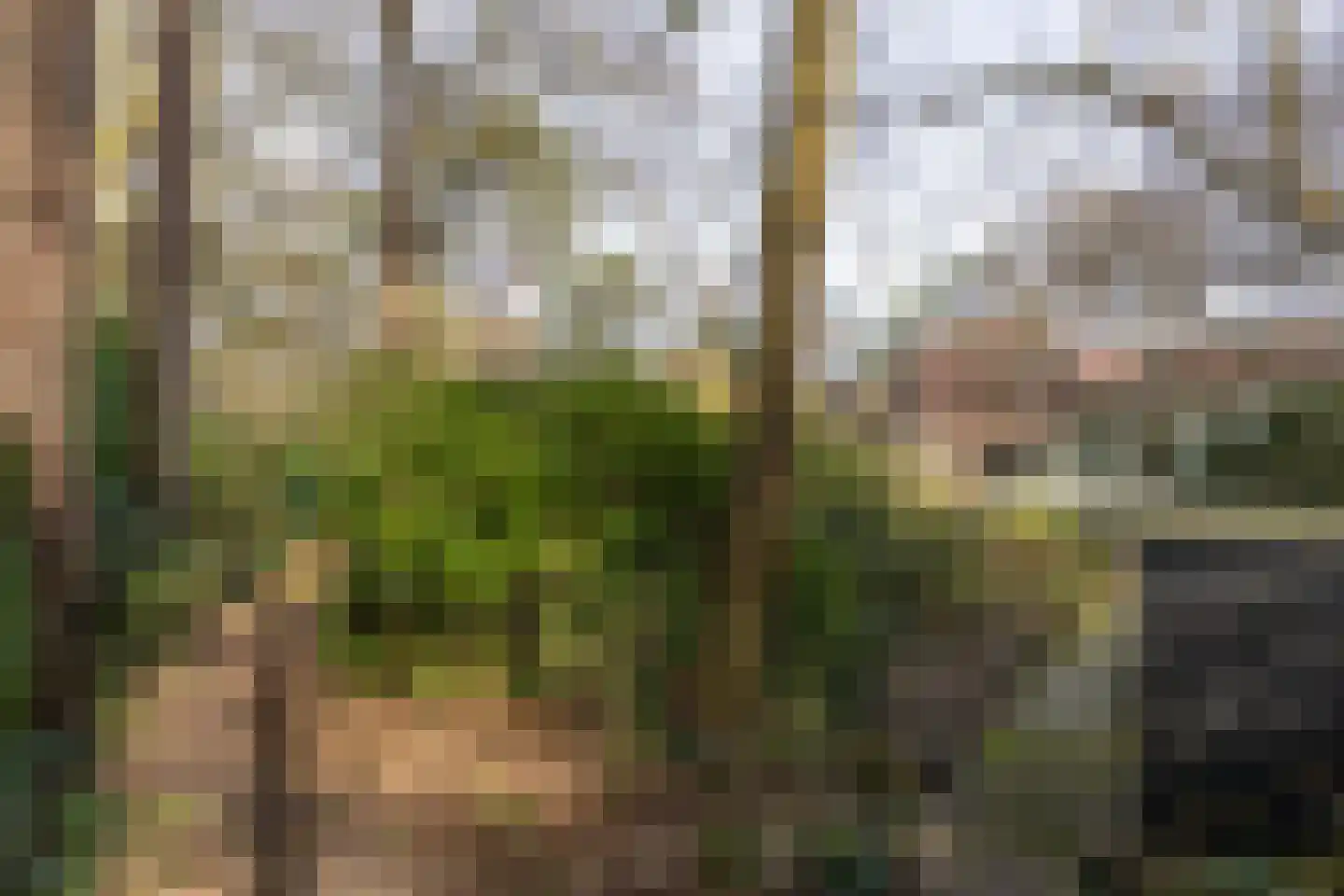 Lassuslaan 52 C Bilthoven thumbnail 59