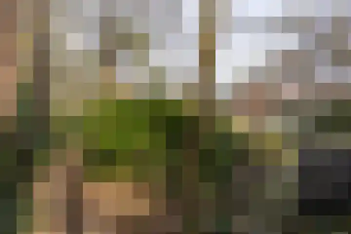 Lassuslaan 52 C Bilthoven thumbnail 59