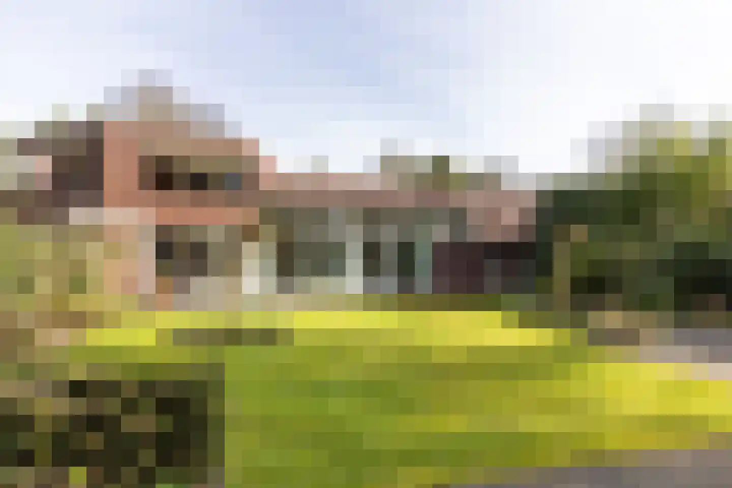 Lassuslaan 52 C Bilthoven thumbnail 61