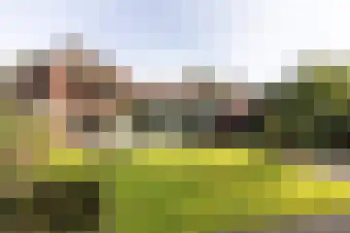 Lassuslaan 52 C Bilthoven thumbnail 61
