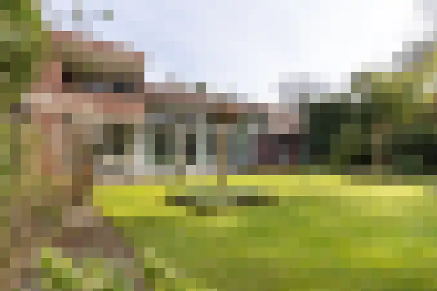 Lassuslaan 52 C Bilthoven thumbnail 62