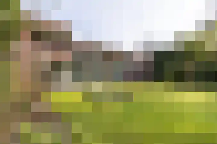 Lassuslaan 52 C Bilthoven thumbnail 62