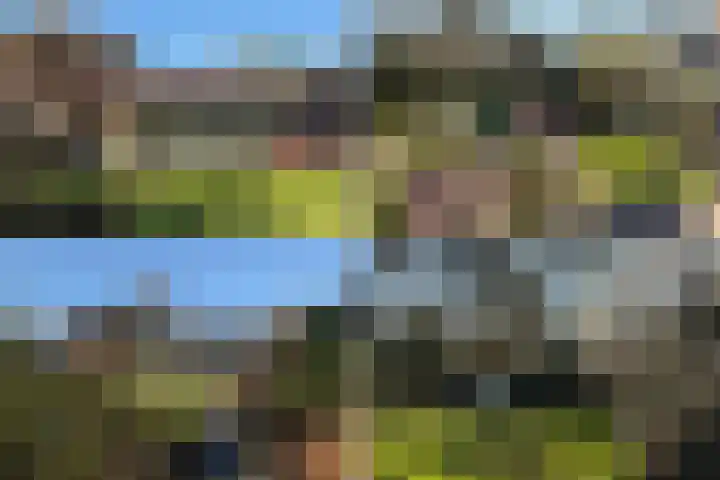 Lassuslaan 52 C Bilthoven thumbnail 65