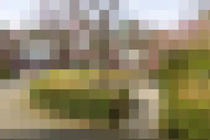 Lassuslaan 52 C Bilthoven thumbnail 67