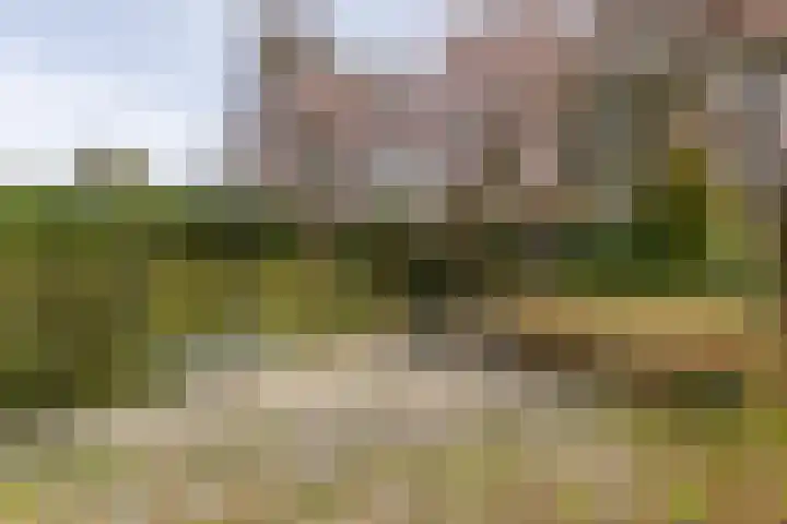 Lassuslaan 52 C Bilthoven thumbnail 68