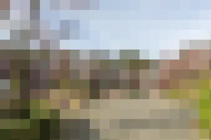 Lassuslaan 52 C Bilthoven thumbnail 69