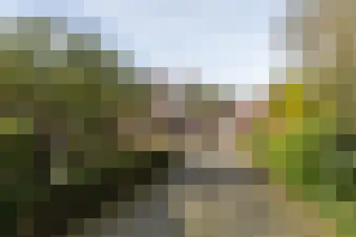 Lassuslaan 52 C Bilthoven thumbnail 70