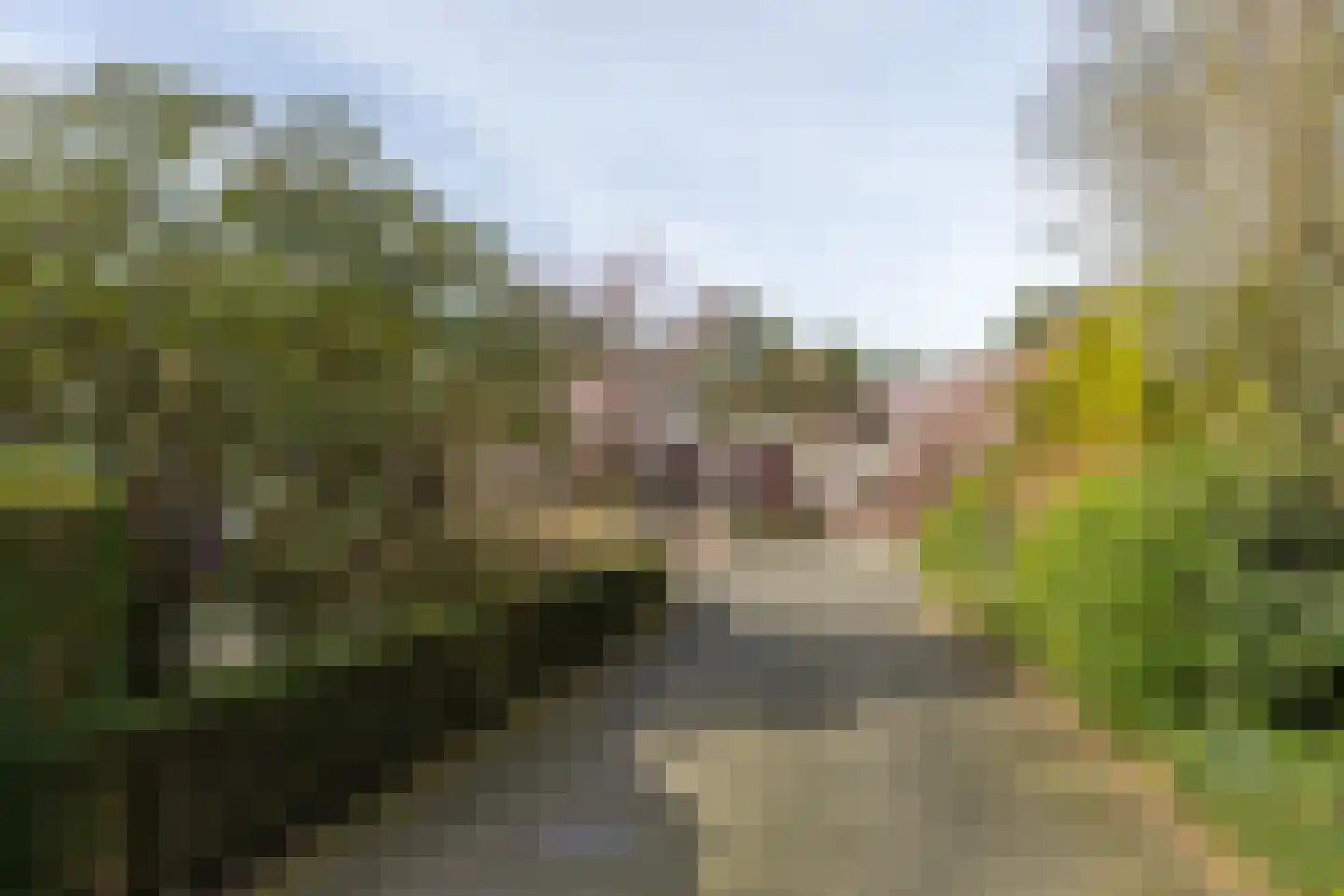 Lassuslaan 52 C Bilthoven thumbnail 70