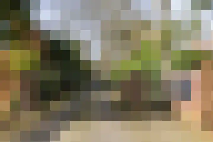 Lassuslaan 52 C Bilthoven thumbnail 71