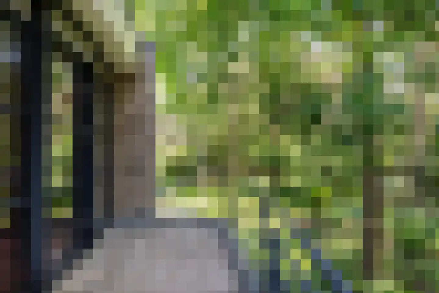 Lassuslaan 57 Bilthoven thumbnail 32