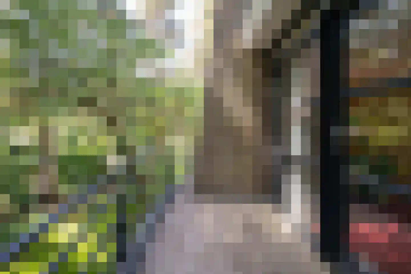 Lassuslaan 57 Bilthoven thumbnail 33