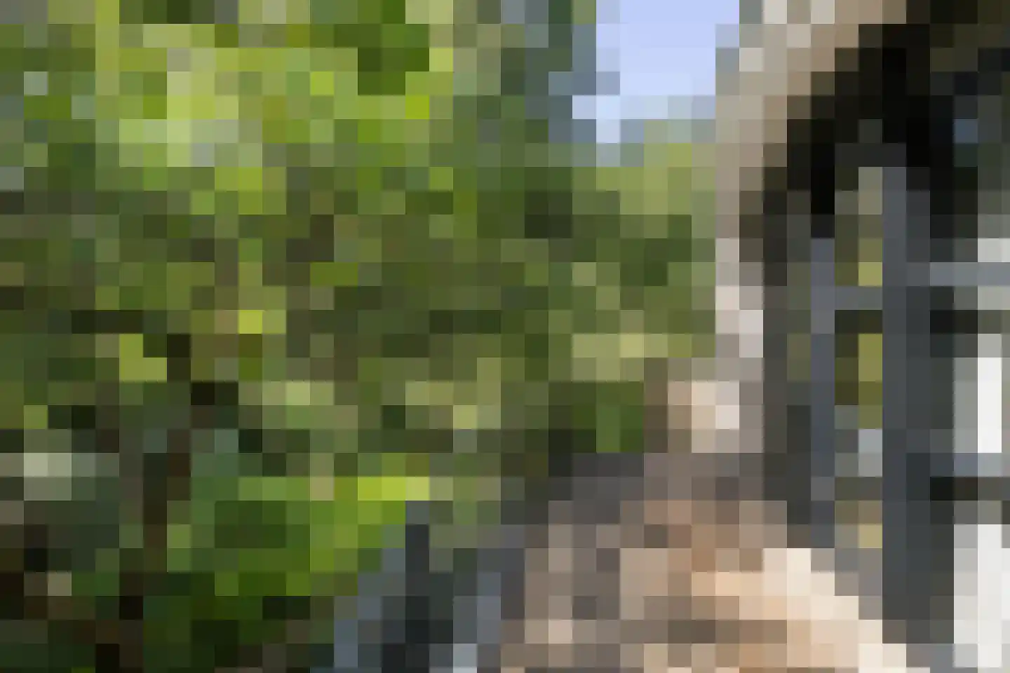 Lassuslaan 57 Bilthoven thumbnail 35