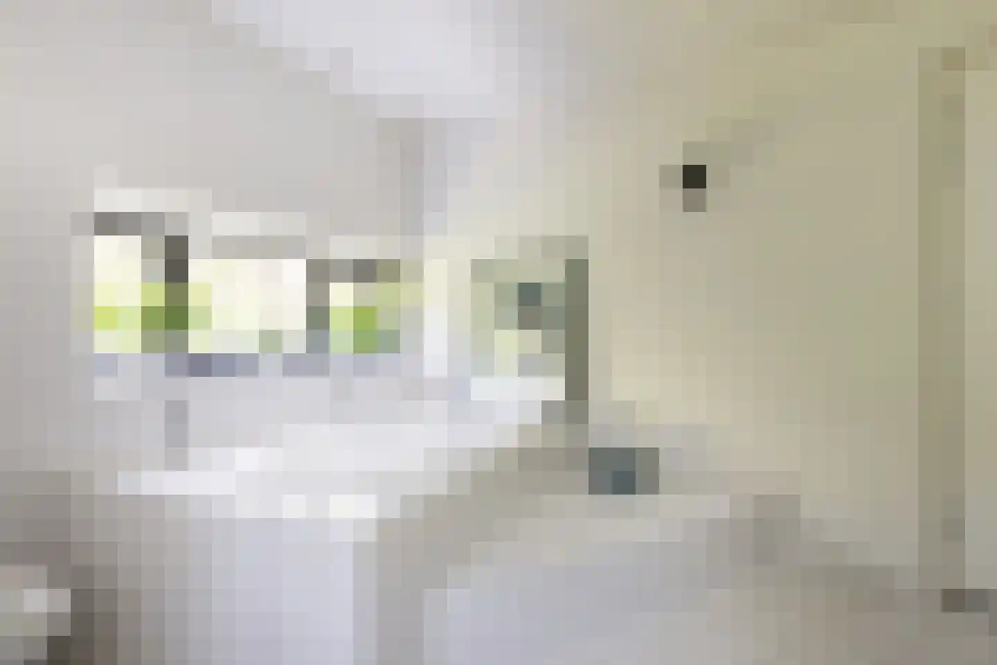 Lassuslaan 57 Bilthoven thumbnail 40