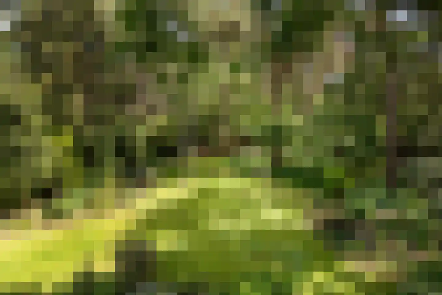 Lassuslaan 57 Bilthoven thumbnail 47