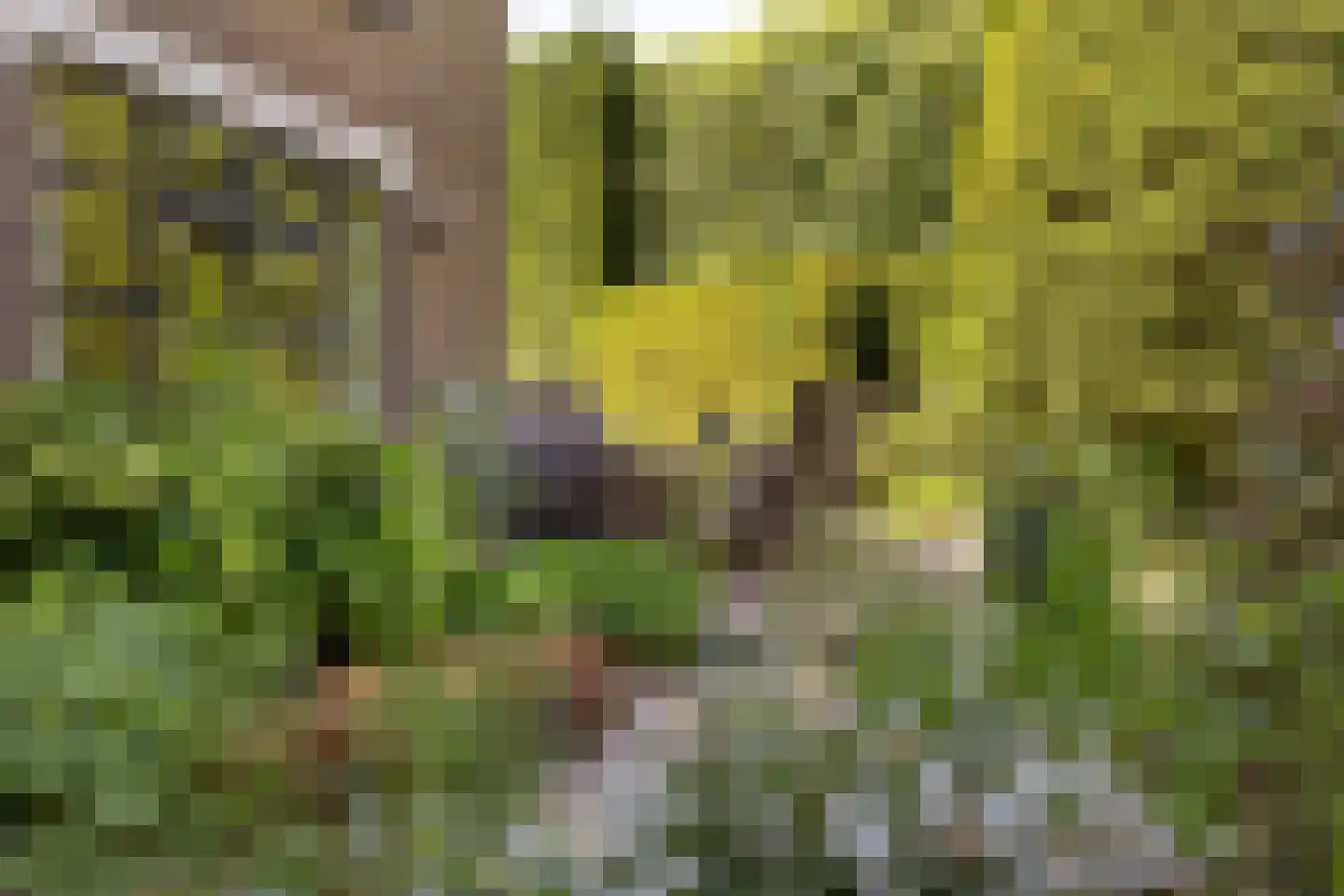 Lassuslaan 57 Bilthoven thumbnail 48