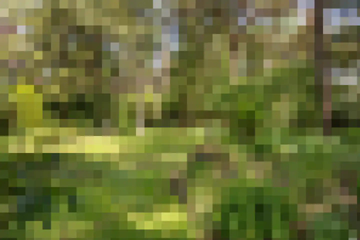Lassuslaan 57 Bilthoven thumbnail 49