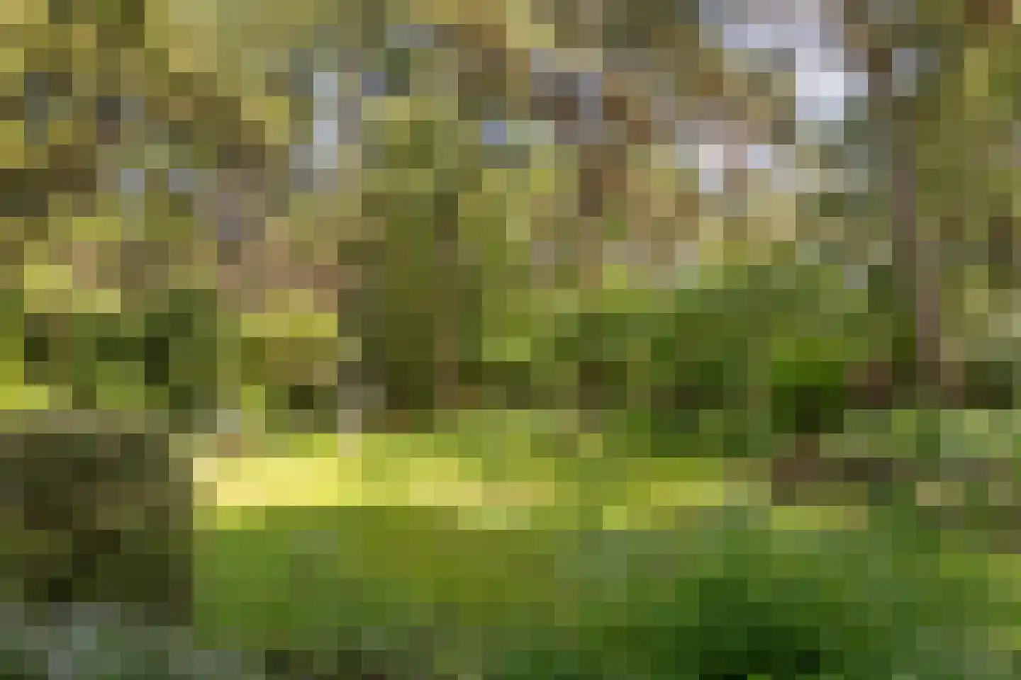 Lassuslaan 57 Bilthoven thumbnail 50