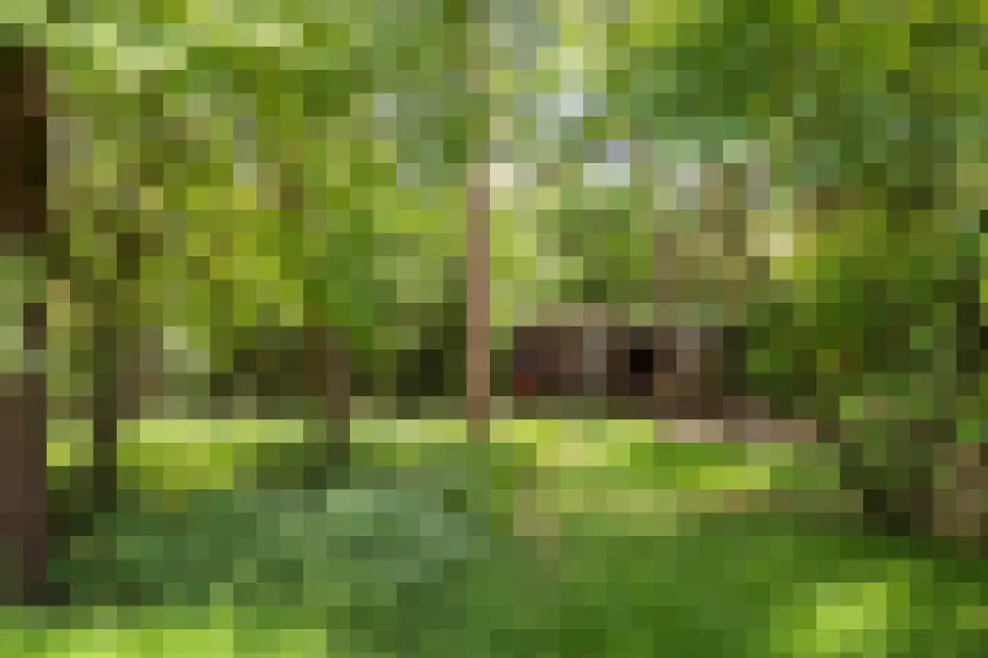 Lassuslaan 57 Bilthoven thumbnail 51