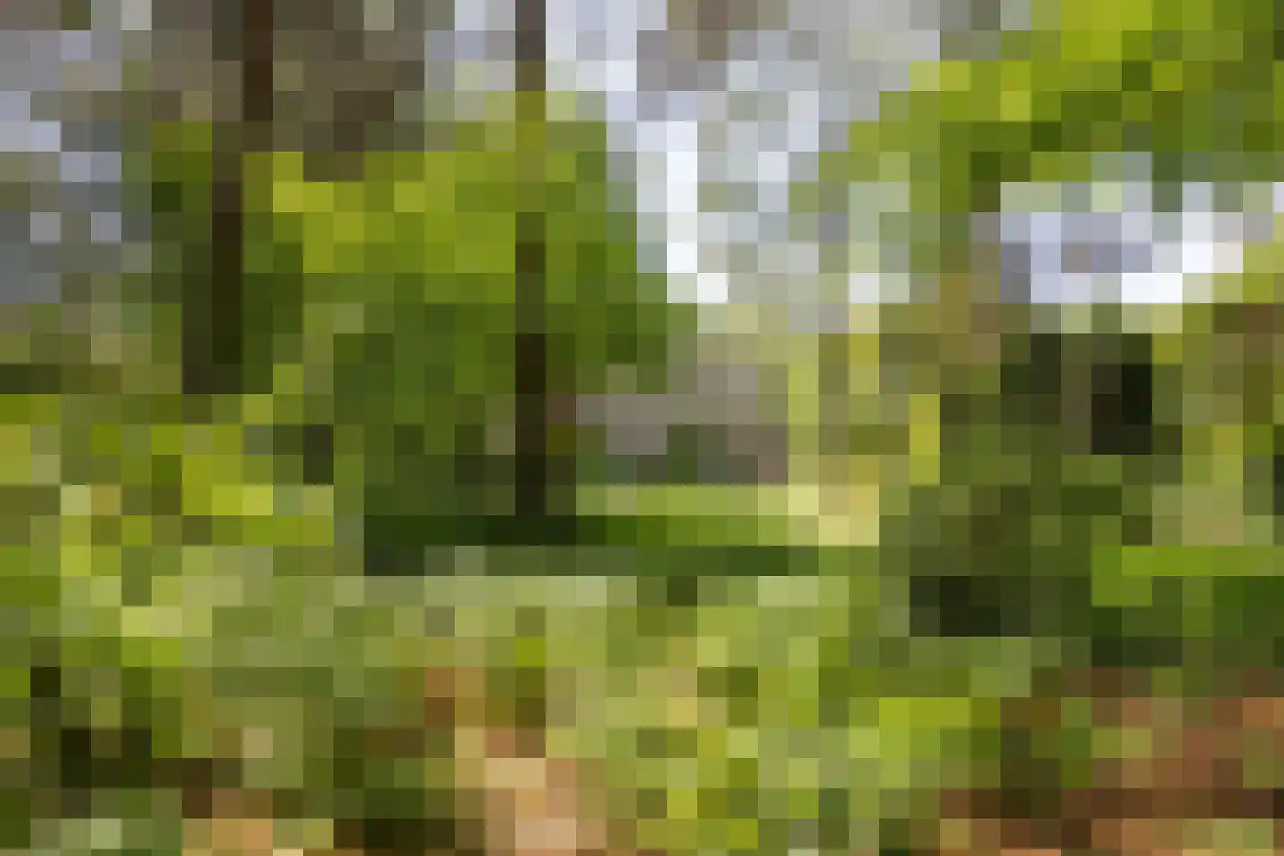 Lassuslaan 57 Bilthoven thumbnail 52