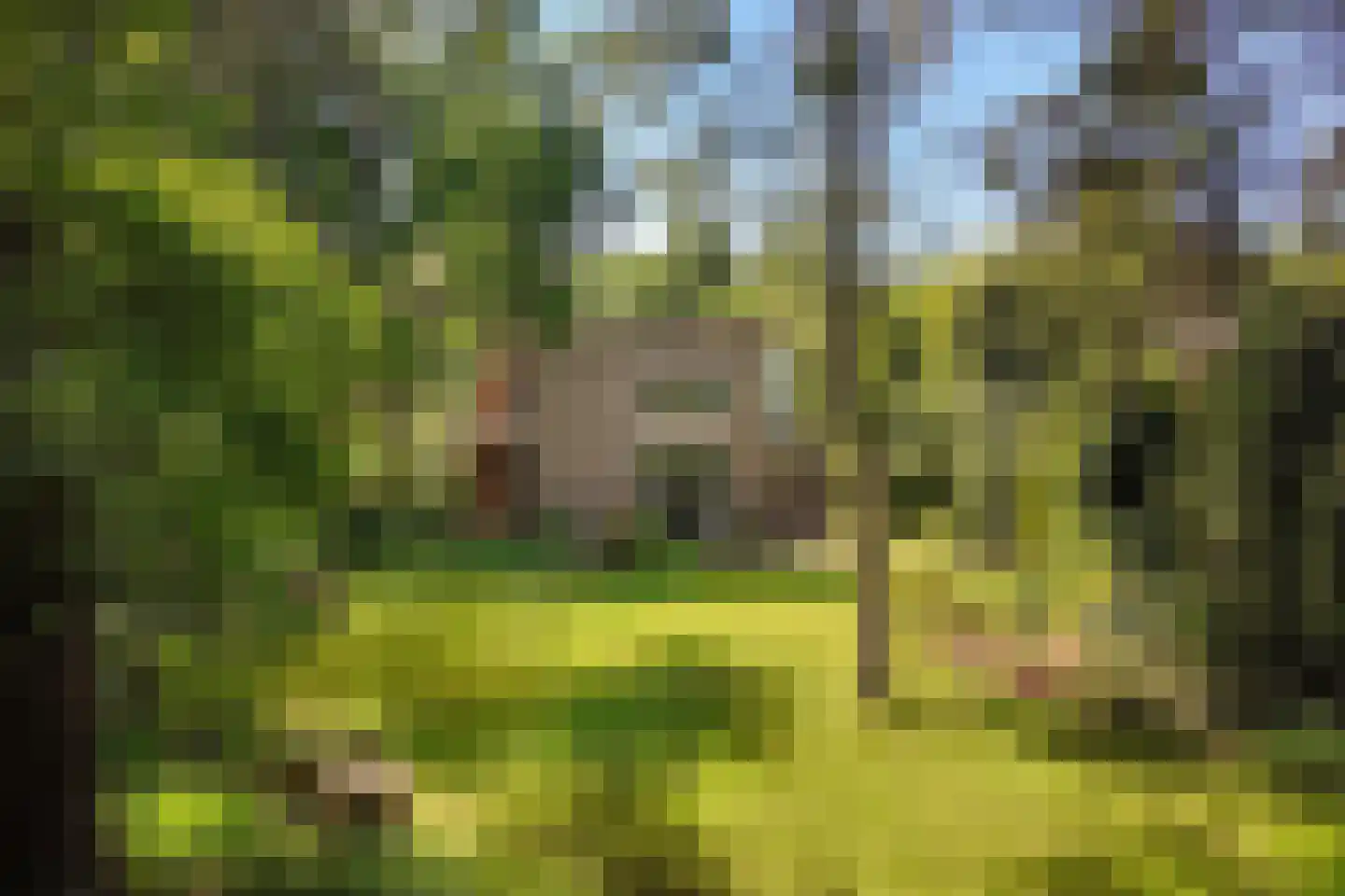 Lassuslaan 57 Bilthoven thumbnail 53