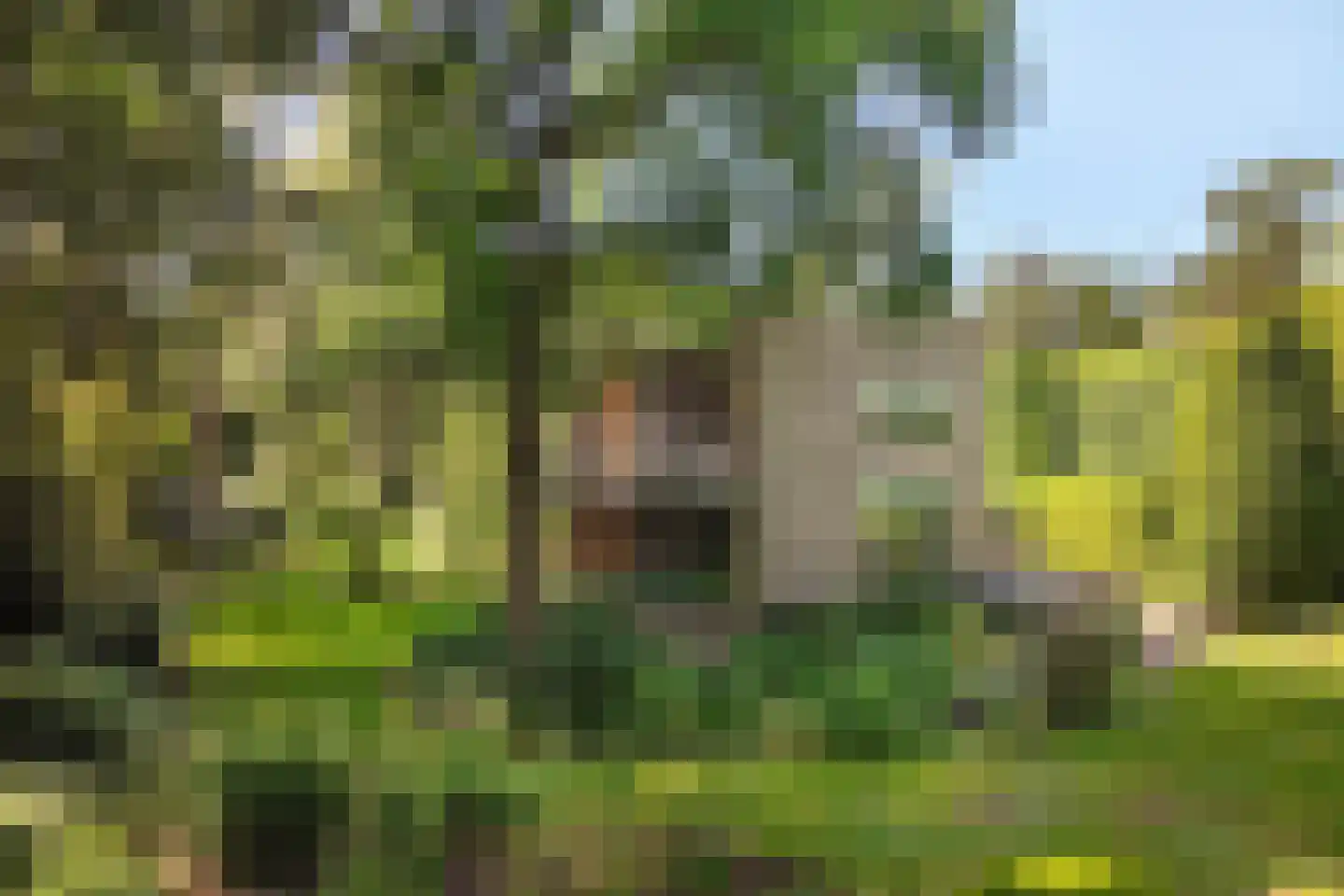 Lassuslaan 57 Bilthoven thumbnail 54