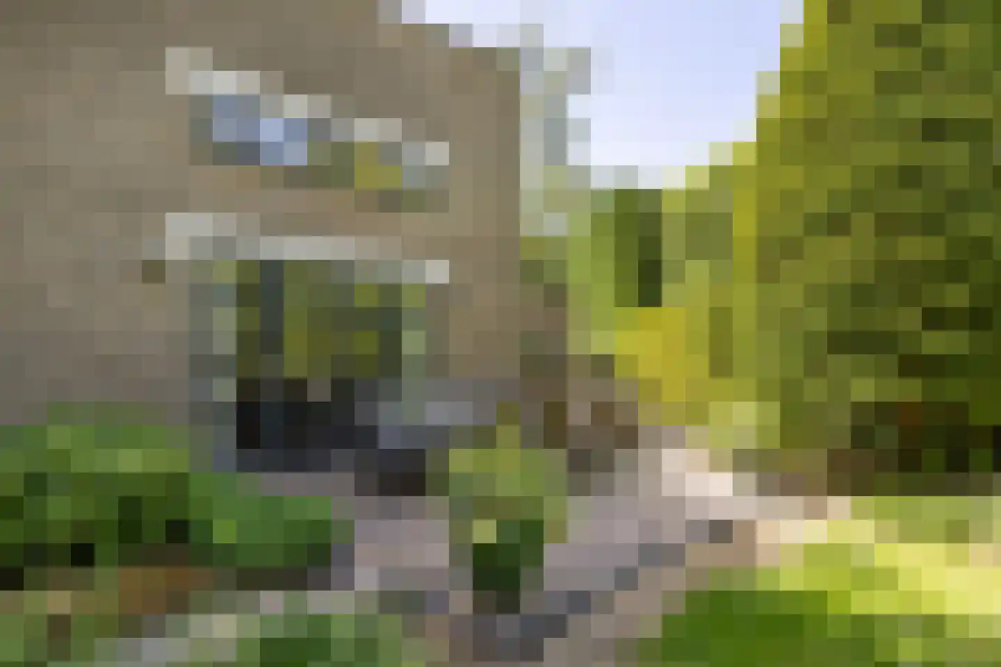 Lassuslaan 57 Bilthoven thumbnail 55