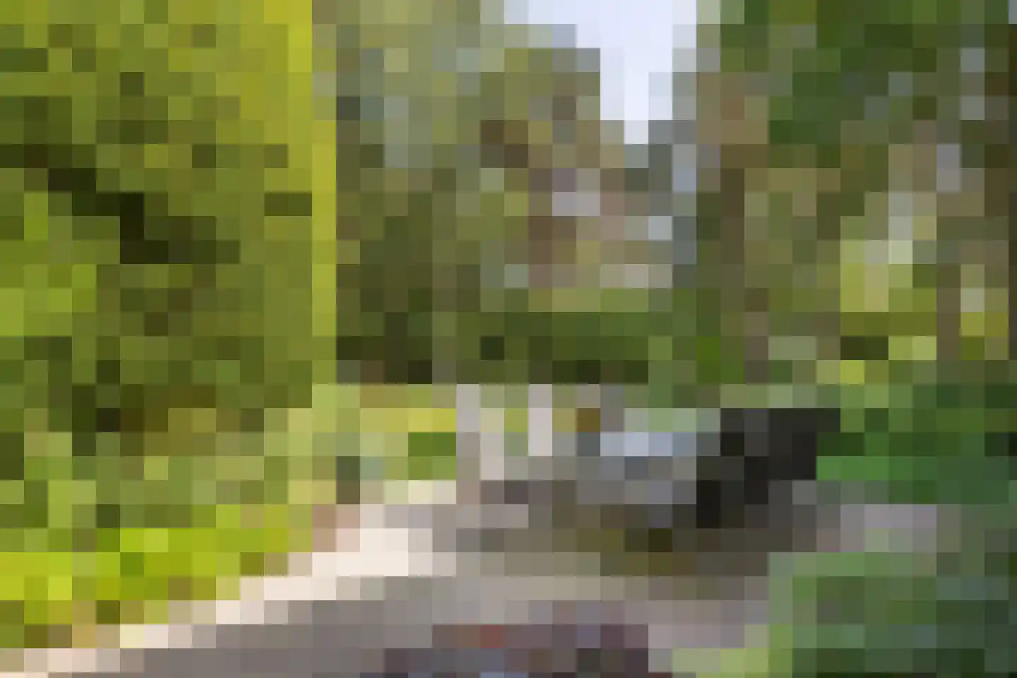 Lassuslaan 57 Bilthoven thumbnail 57