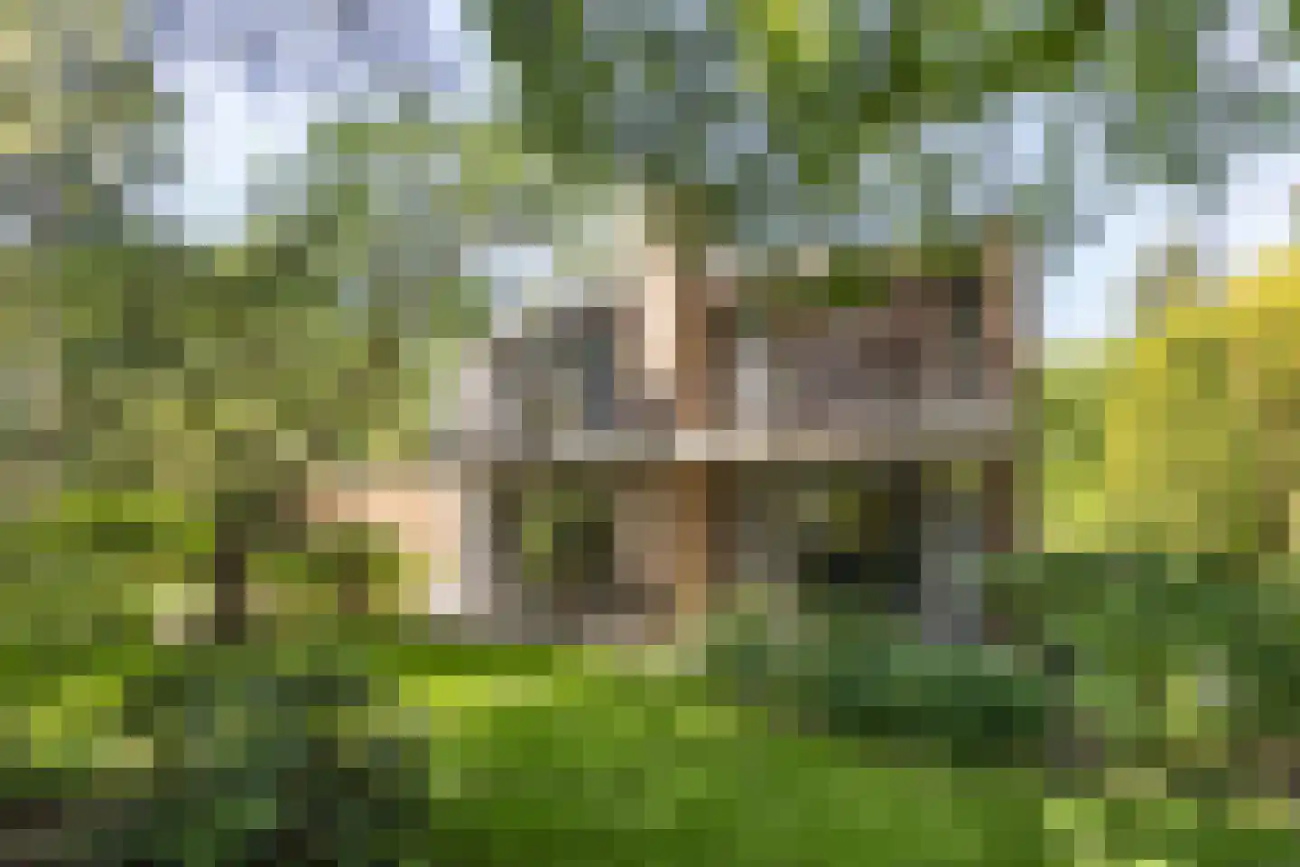 Lassuslaan 57 Bilthoven thumbnail 58