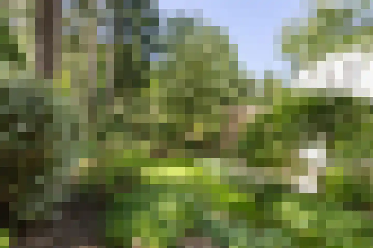 Lassuslaan 57 Bilthoven thumbnail 60