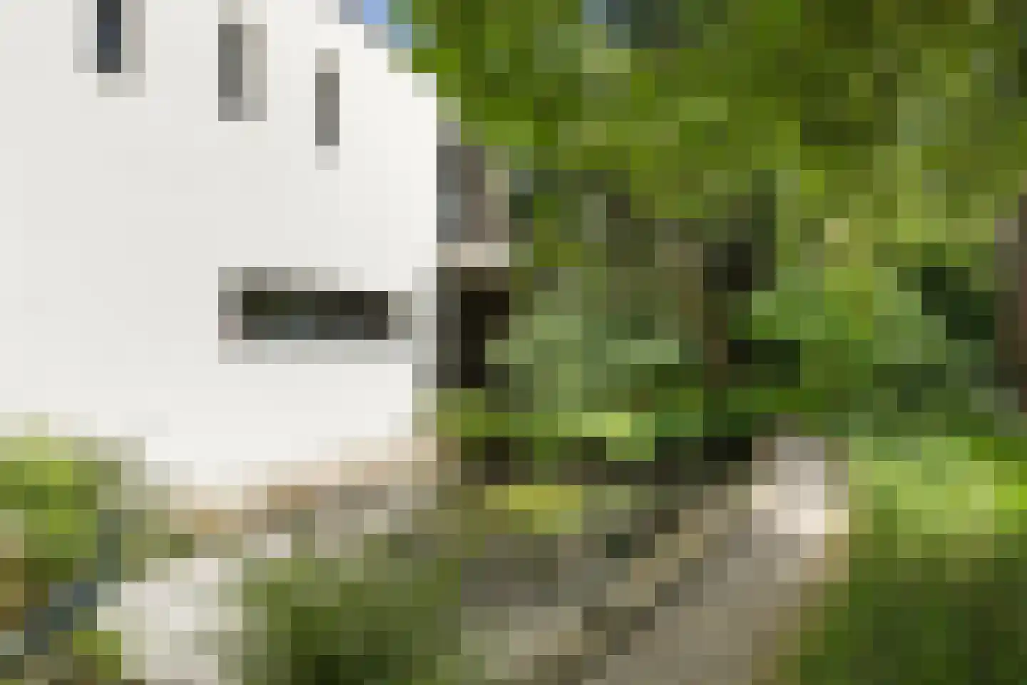 Lassuslaan 57 Bilthoven thumbnail 61