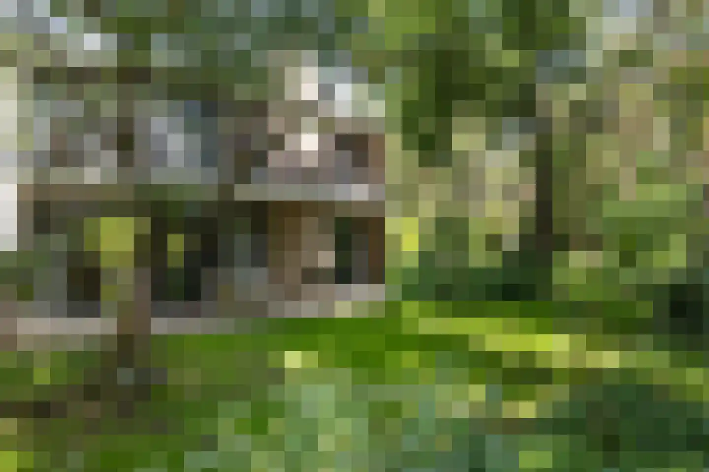 Lassuslaan 57 Bilthoven thumbnail 62