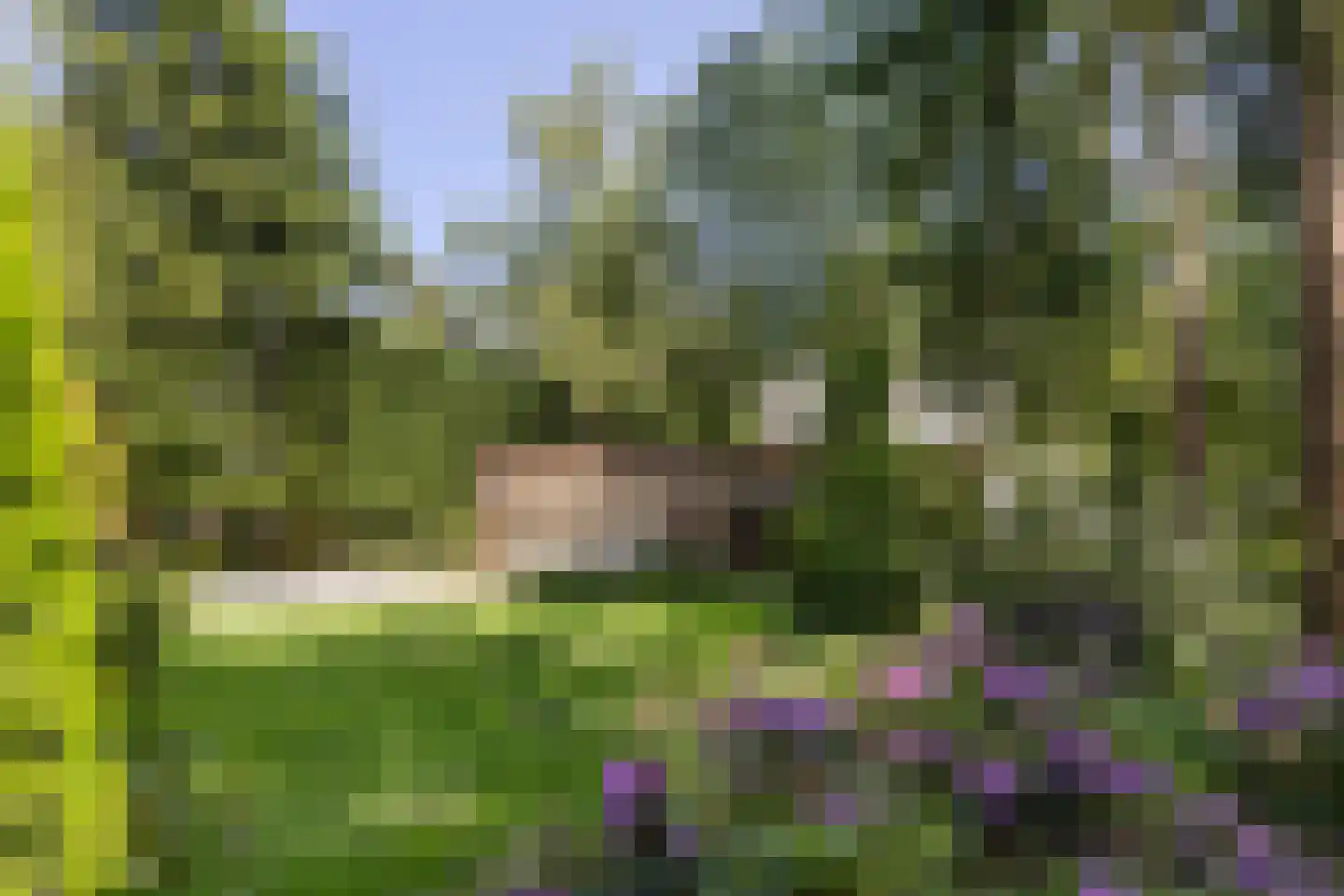 Lassuslaan 57 Bilthoven thumbnail 64