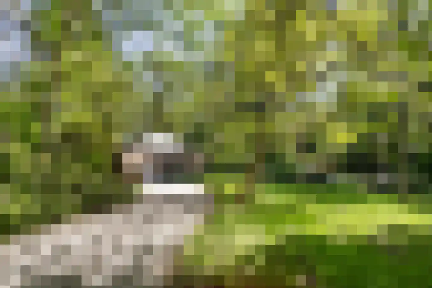Lassuslaan 57 Bilthoven thumbnail 65