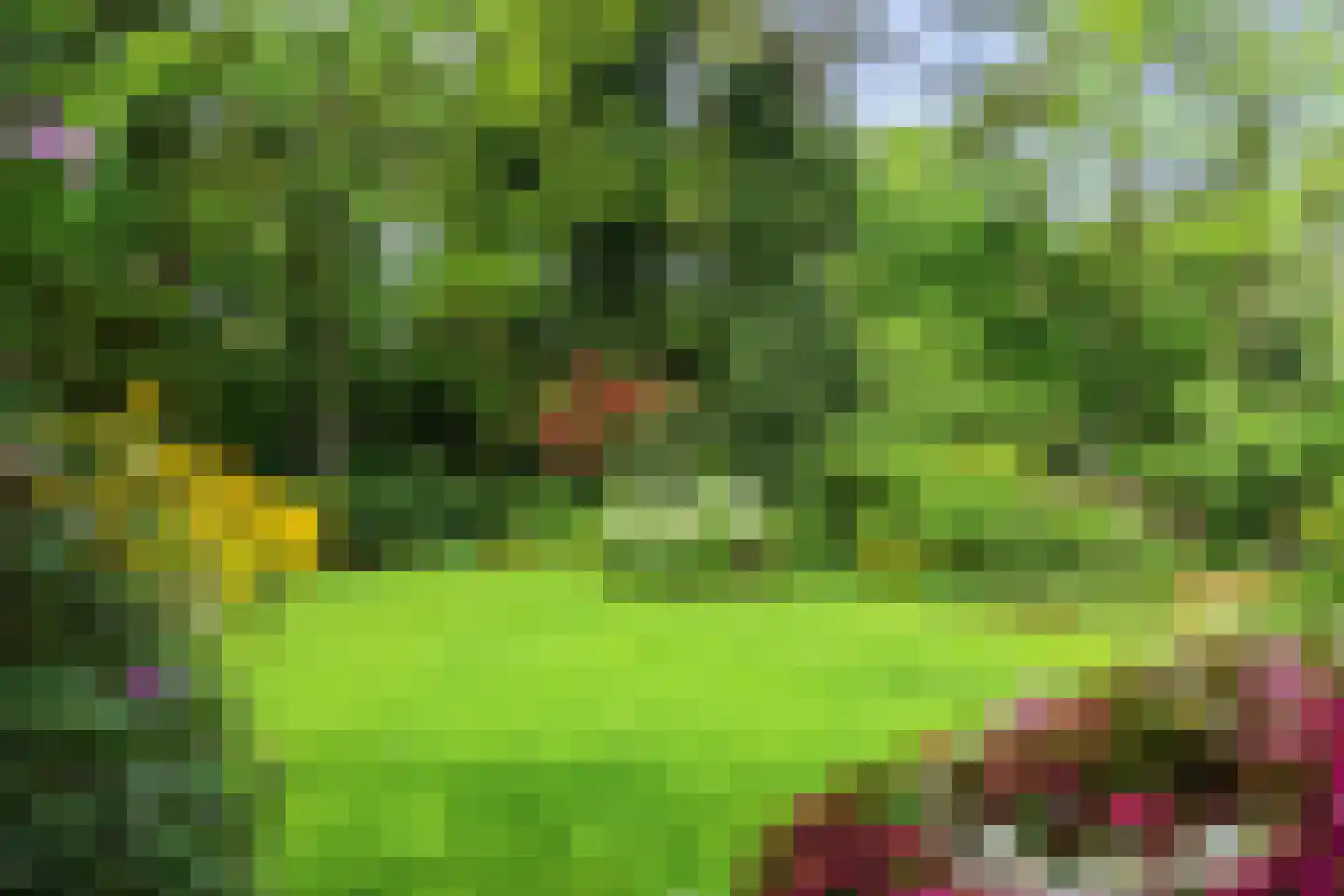 Lassuslaan 58 Bilthoven thumbnail 14