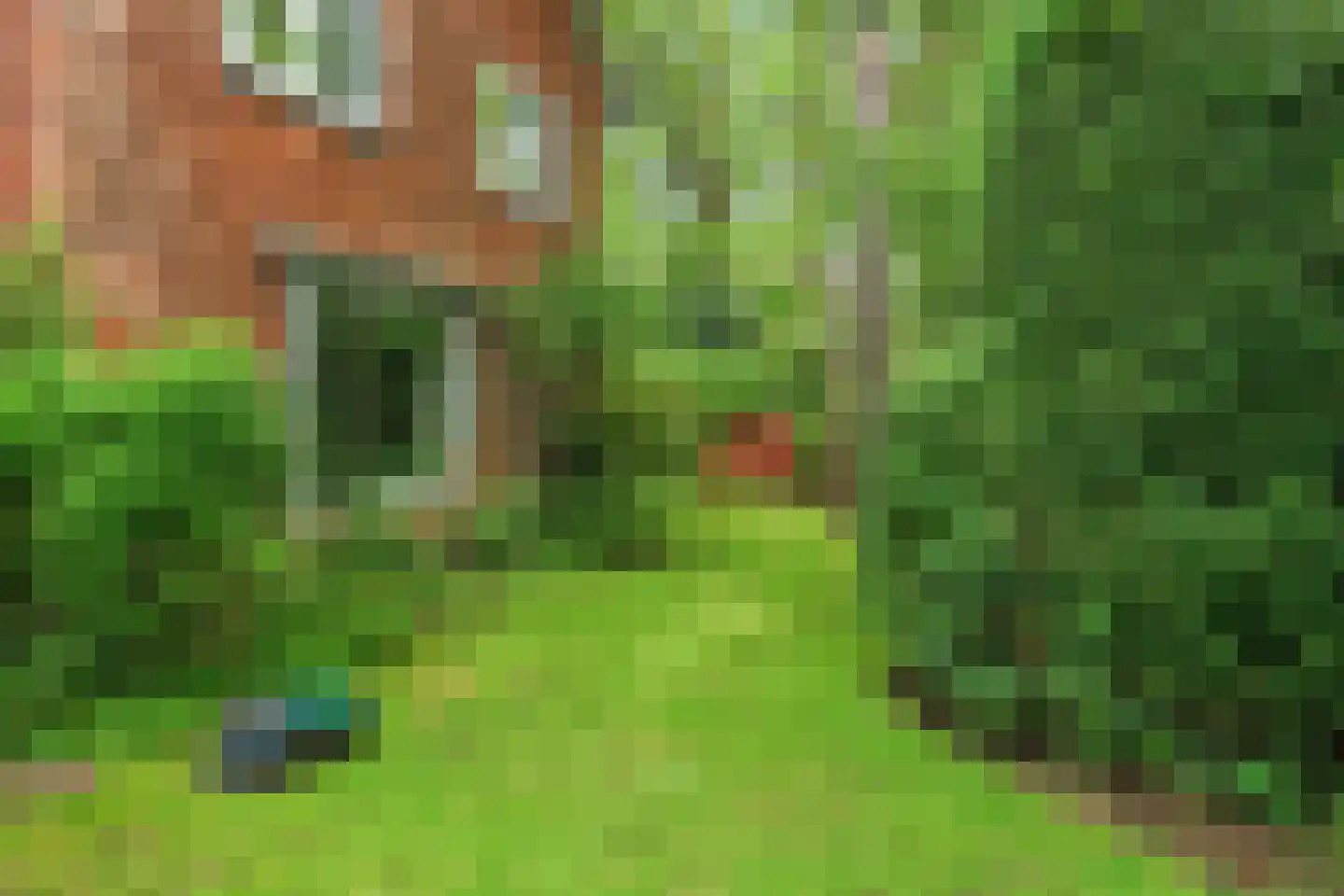 Lassuslaan 58 Bilthoven thumbnail 19