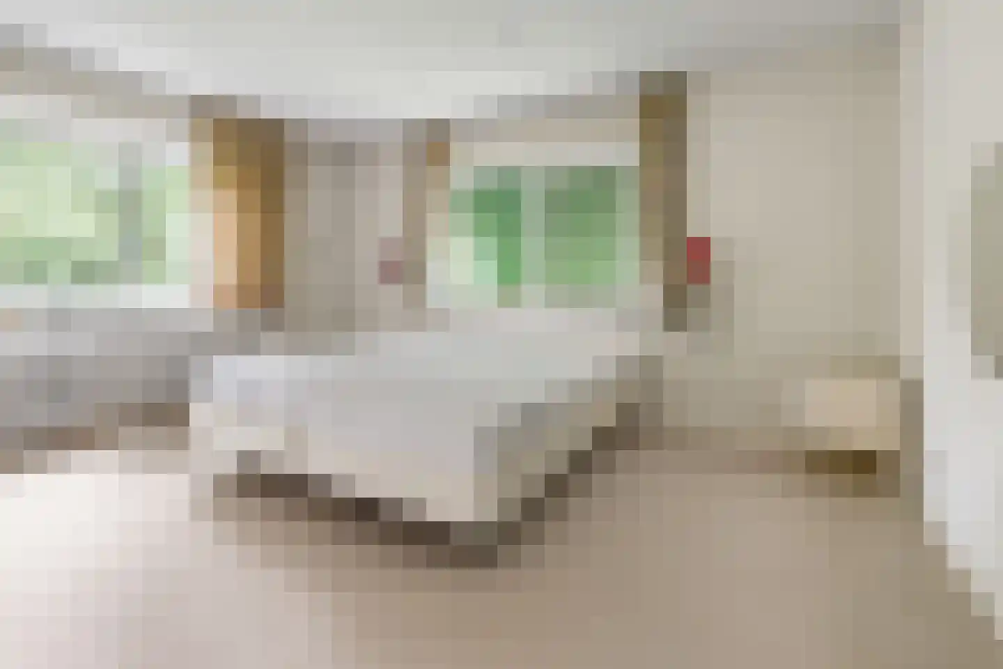 Lassuslaan 58 Bilthoven thumbnail 22