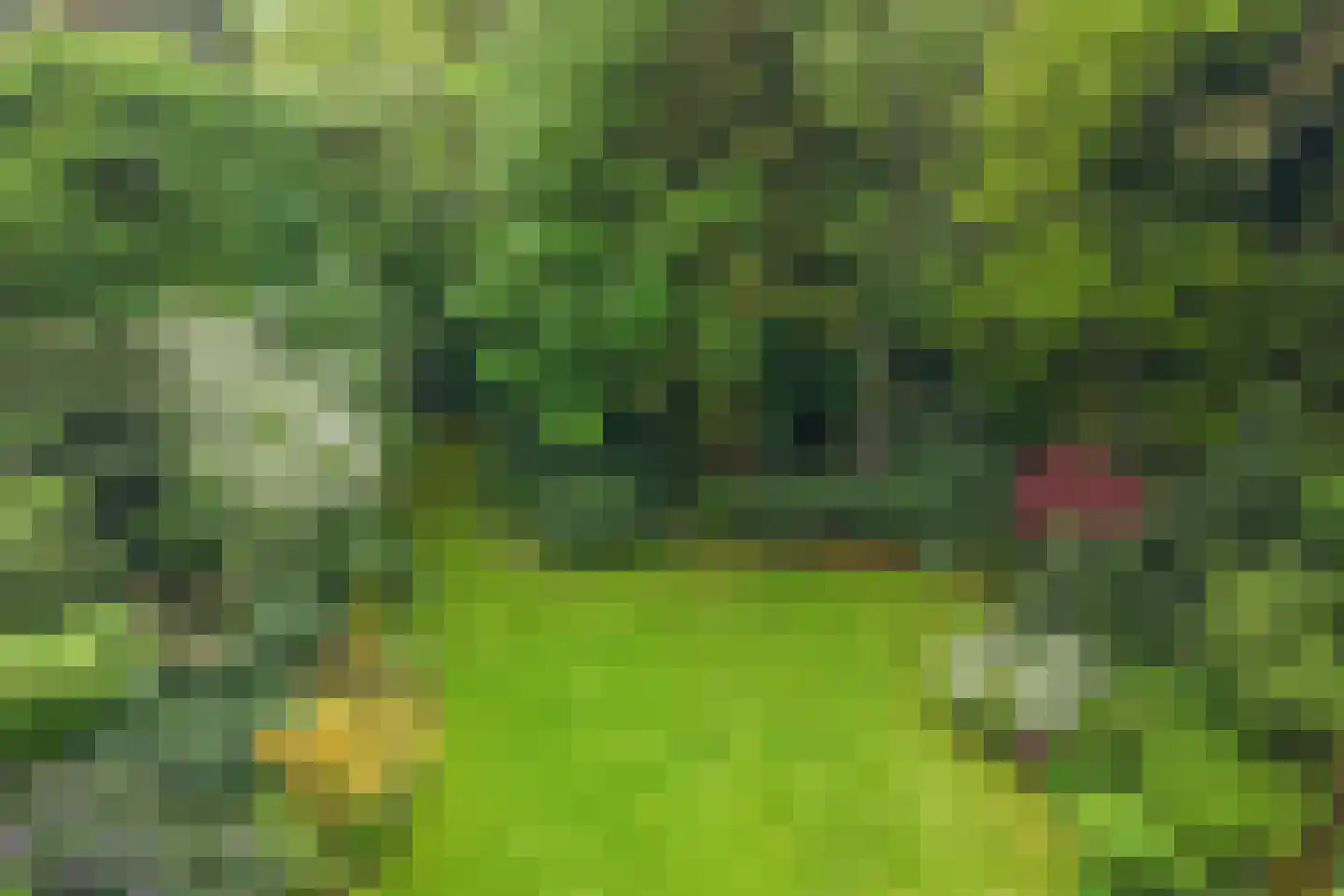 Lassuslaan 58 Bilthoven thumbnail 28