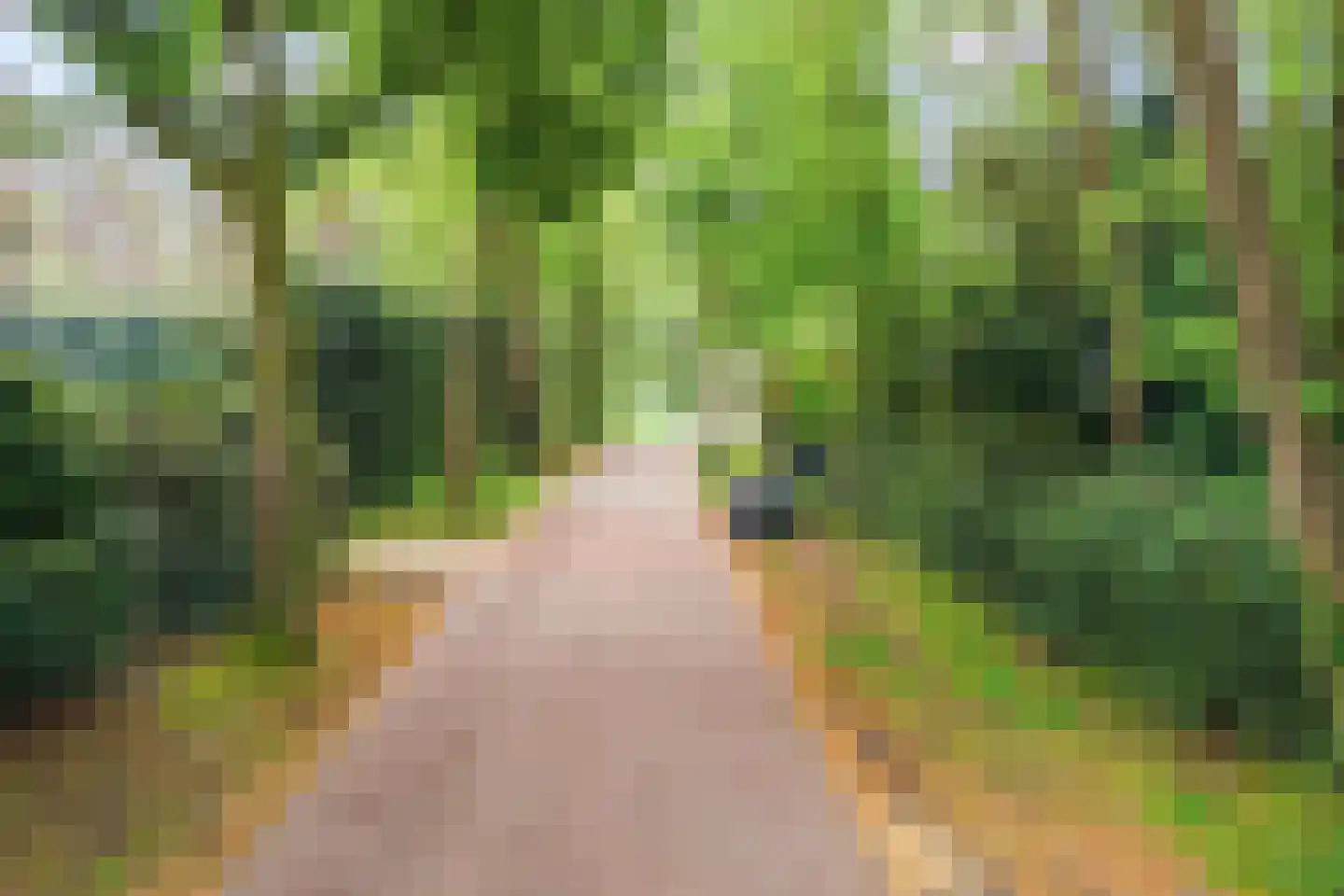 Lassuslaan 58 Bilthoven thumbnail 34
