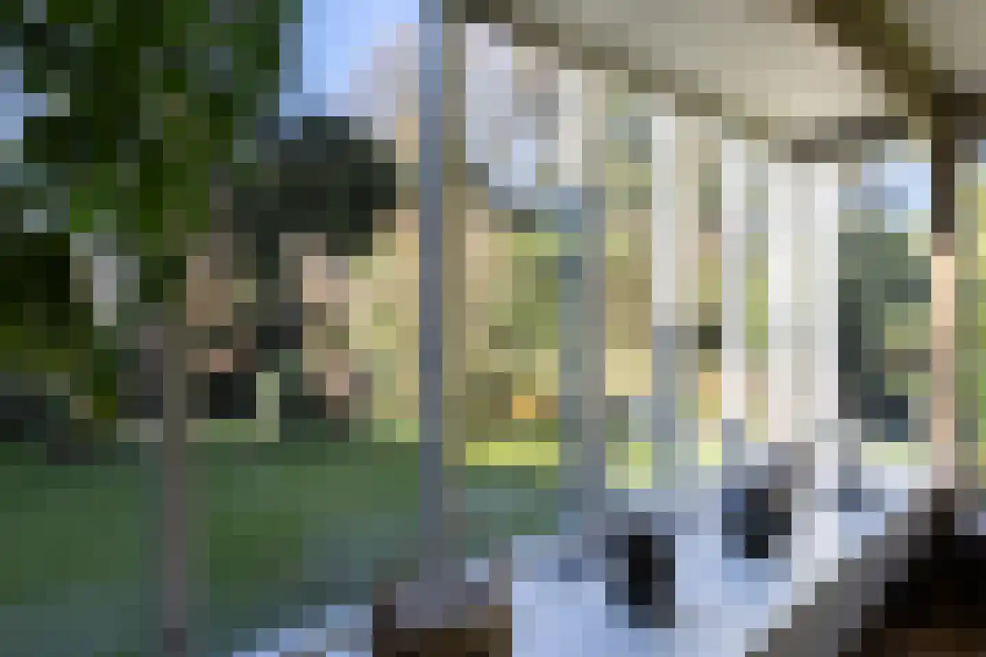 Lassuslaan 60 Bilthoven thumbnail 14