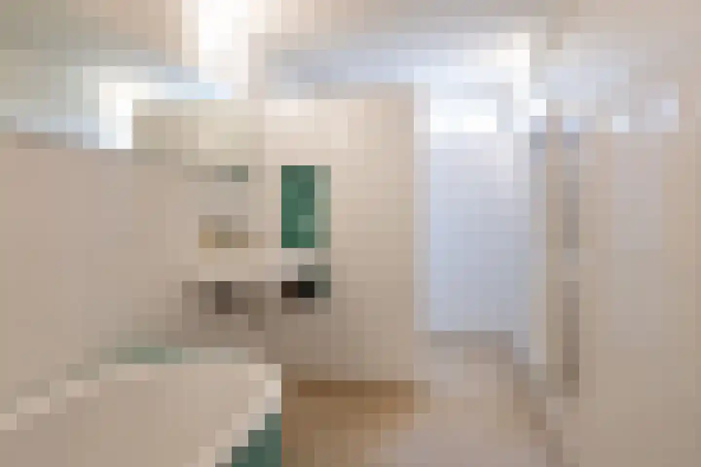 Lassuslaan 60 Bilthoven thumbnail 34
