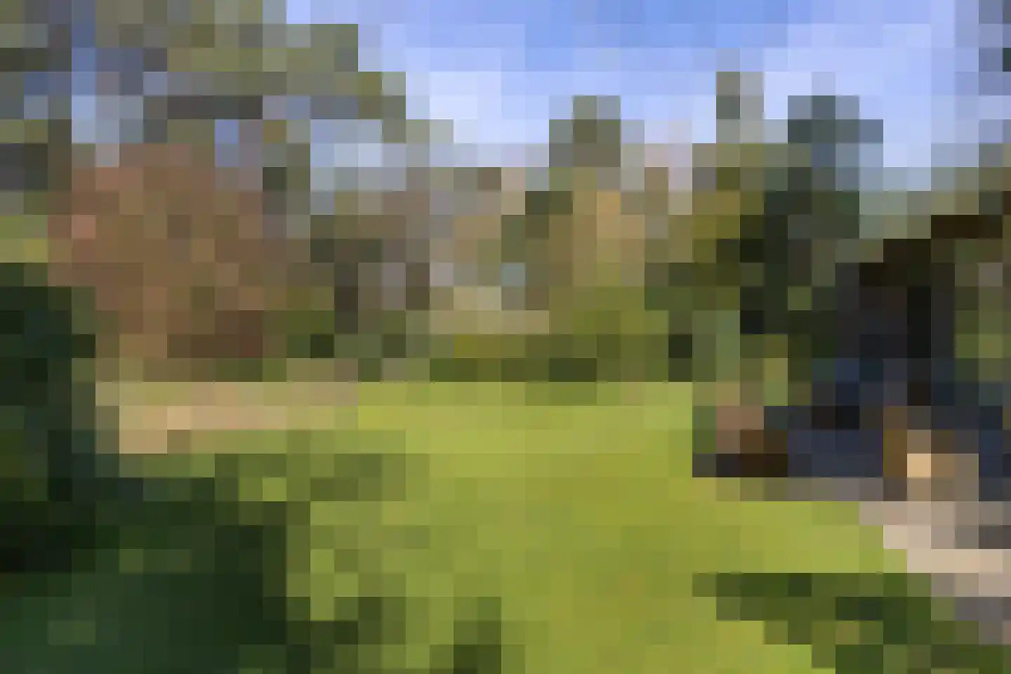 Lassuslaan 60 Bilthoven thumbnail 36