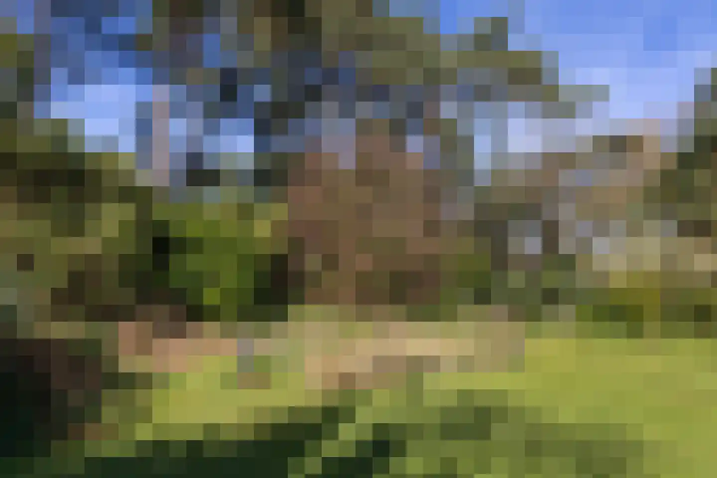 Lassuslaan 60 Bilthoven thumbnail 37