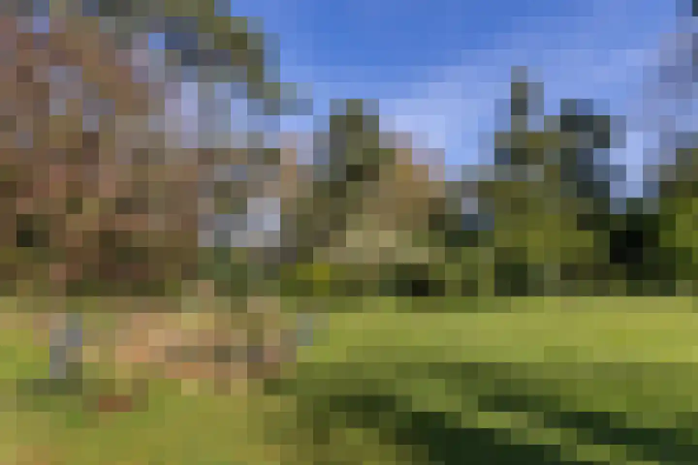 Lassuslaan 60 Bilthoven thumbnail 38
