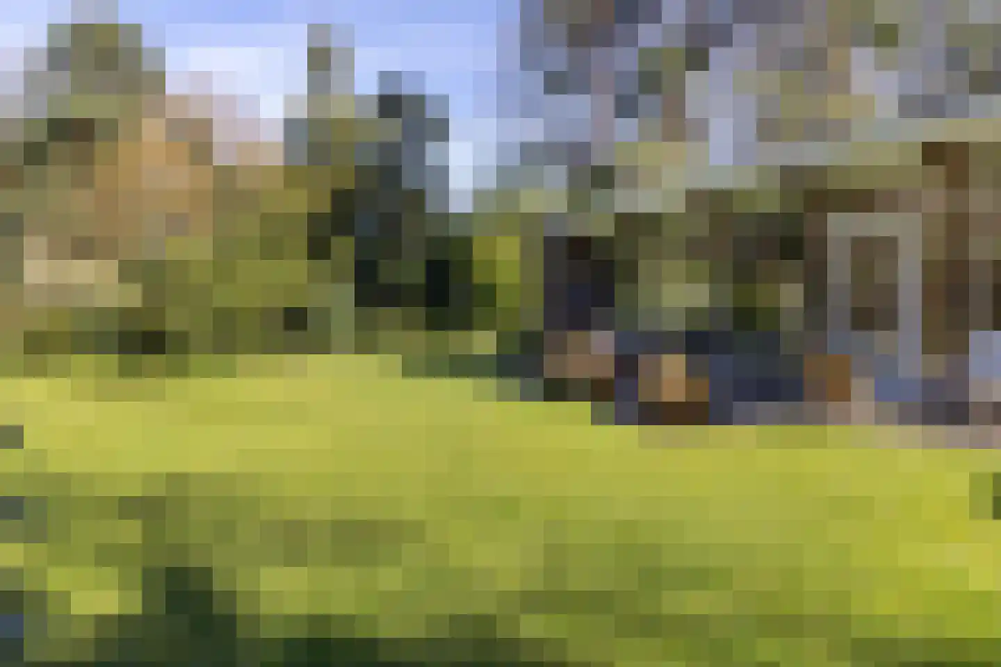 Lassuslaan 60 Bilthoven thumbnail 39