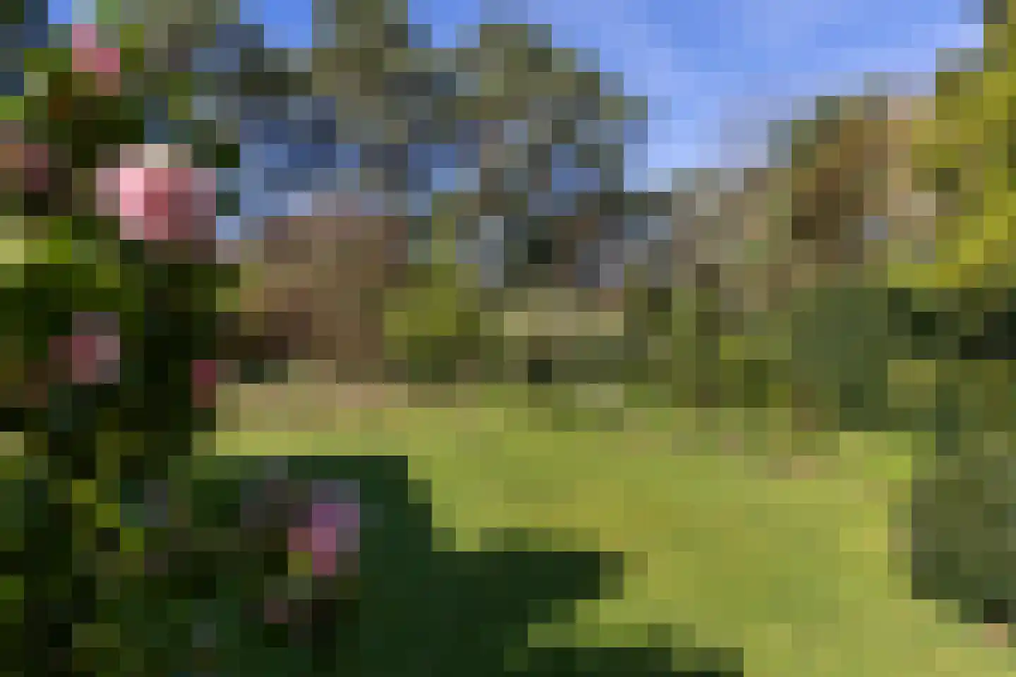 Lassuslaan 60 Bilthoven thumbnail 40