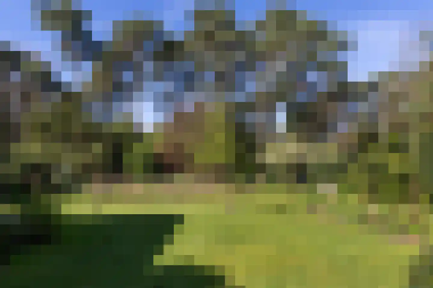 Lassuslaan 60 Bilthoven thumbnail 41